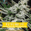 Jokerz S1 (Feminized) (space) Elite Clone Seed Company