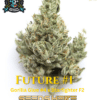 Jokerz S1 (Feminized) (space) Elite Clone Seed Company