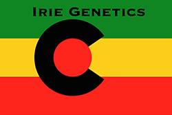 irie Genetics