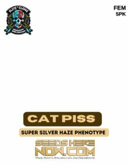 Elite Clone Seed Company - Cat Piss {FEM} [5pk]Cat piss strain info card
