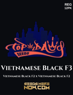 Vietnamese Black F3