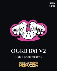 OGKB BX1 V2 (Regular) (space) Riot Seeds