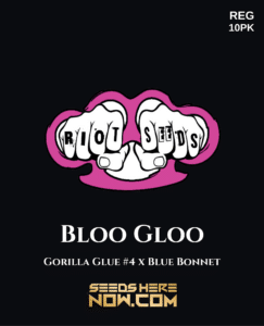 Bloo gloo (regular) - riot seeds