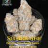Jokerz S1 (feminized) - Elite Clone Seed Company