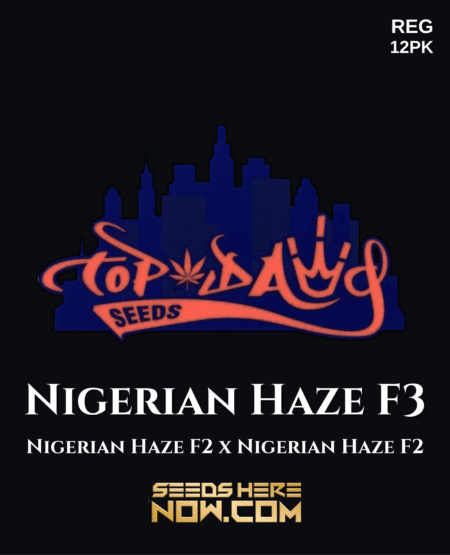 Nigerian Haze F3