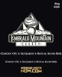 (ghost Og X Skyjaro) X Royal Kush Bx6 (regular) - Emerald Mountain Legacy