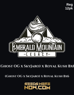 Emerald Mountain Legacy - (Ghost OG x SkyJaro) x Royal Kush Bx6 {REG} [12pk]