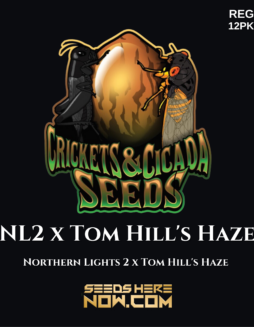 Crickets and Cicadas Seeds - NL2 x Tom Hill's Haze {REG} [12pk]NL2 x Tom Hill's Haze