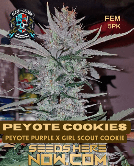 Peyote Cookies Seeds