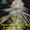 Jokerz S1 (feminized) - Elite Clone Seed Company