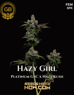 Hazy Girl