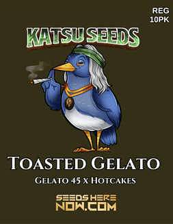 Katsu Seeds - Toasted Gelato {REG} [10pk]Plant Photo Info Card