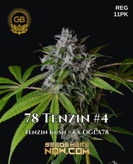 78 Tenzin #4
