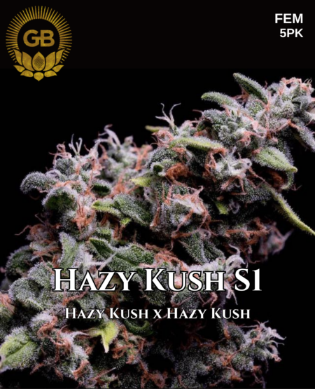 Hazy Kush S1