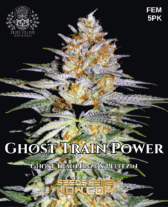 Ghost Train Power S1 (feminized) - Elite Clone Seed Company