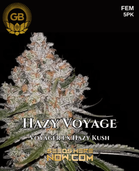 Hazy Voyage