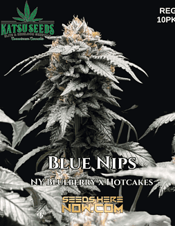 Katsu Seeds - Blue Nips {REG} [10pk]Plant photo info card