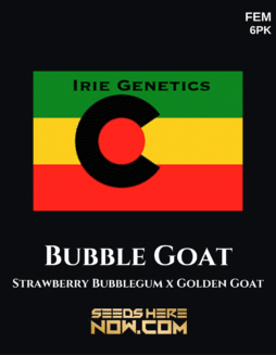 Irie Genetics - Bubble Goat {FEM} [6pk]Plant Photo Info Card