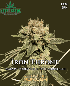 Iron Throne (feminized) - Katsu Seeds