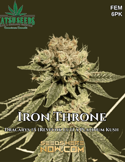 Katsu Seeds - Iron Throne {FEM} [6pk]Plant photo info card