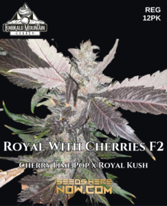 Royal with Cherries F2 (regular) - Emerald Mountain Legacy