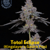 Total Eclipse (feminized) - Compound Genetics