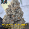 Wedding Crasher S1 (Feminized) (space) Elite Clone Seed Company
