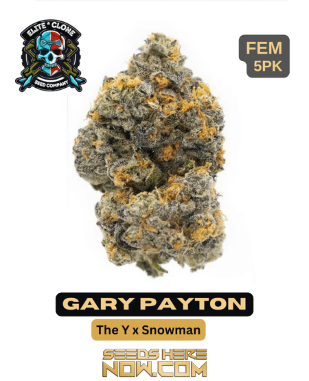 Gary Payton Seeds