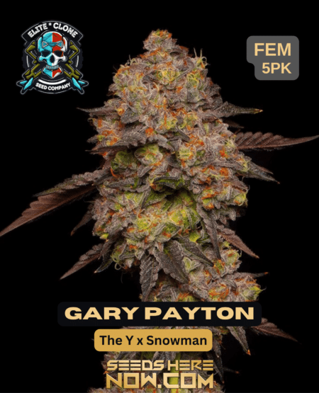 Gary Paytyon Seeds