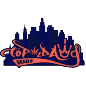 Top Dawg Seeds
