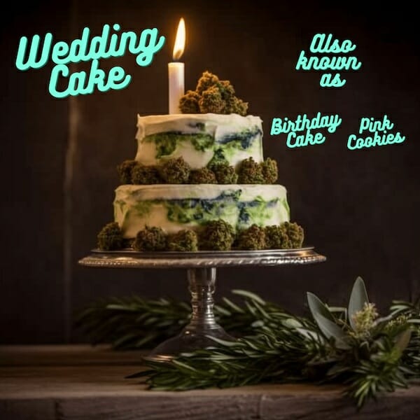 Wedding Cake Strain (Triangle Kush x Animal Mints): A Blissful Combination of Flavors