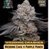 Wedding Crasher S1 (Feminized) (space) Elite Clone Seed Company