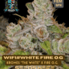 White Fire OG S1 (Feminized) (space) Elite Clone Seed Company