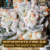 White Fire OG S1 (Feminized) (space) Elite Clone Seed Company