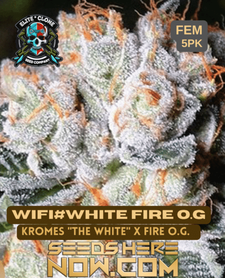 White Fire Og