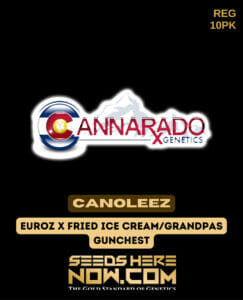 Canoleez (regular) - Cannarado Genetics