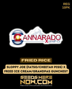 Fried Rice (regular) - Cannarado Genetics