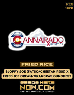 Cannarado Genetics - Fried Rice {REG} [10pk]Cannarado Fried Rice