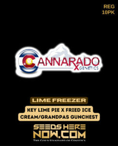 Lime Freezer (regular) - Cannarado Genetics