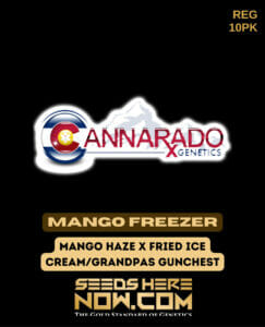 Mango Freezer (regular) - Cannarado Genetics