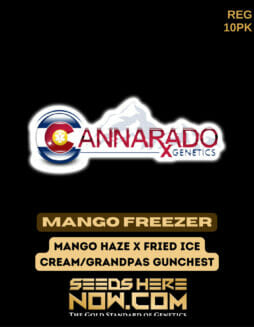 Cannarado Genetics - Mango Freezer {REG} [10pk]Cannarado Mango Freezer