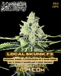 Local skunk f3 (regular) - dominion seed company