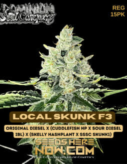 Dominion Seed Company - Local Skunk F3 {REG} [15pk]Dominion Local Skunk F3