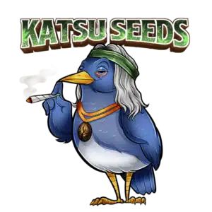 Drops cannabis seeds – Seeds Here Now