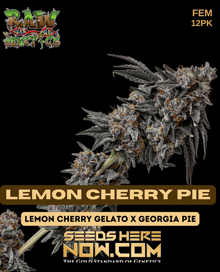 Lemon Cherry Pie