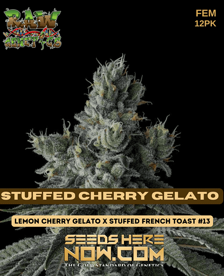 Stuffed Cherry Gelato