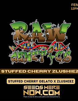 Raw Genetics - Stuffed Cherry Zlushiez {FEM} [12pk]Stuffed Cherry Zlushiez