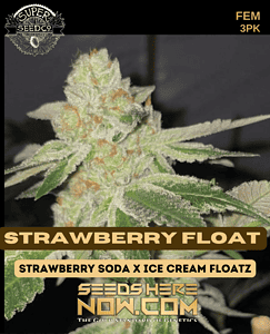 Strawberry Float (feminized) - Super Seed Co.