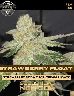 Super Seed Co. - Strawberry Float {FEM} [3pk]Strawberry Float
