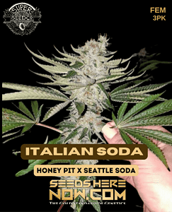 Italian Soda (feminized) - Super Seed Co.